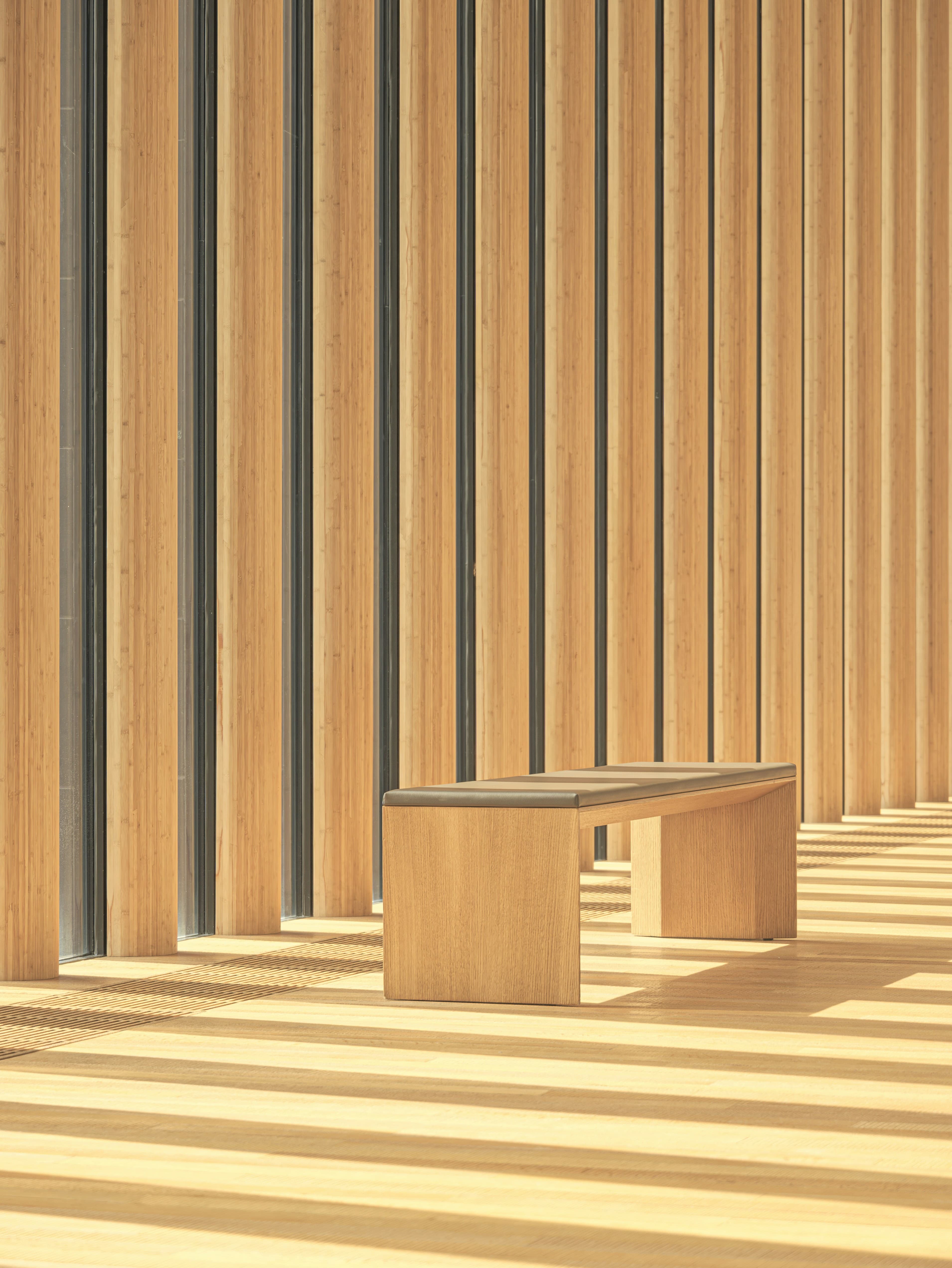 Mass Timber Yapılar - 1