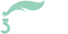 3CEVİZ Logo
